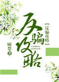 反骗攻略快穿无弹窗